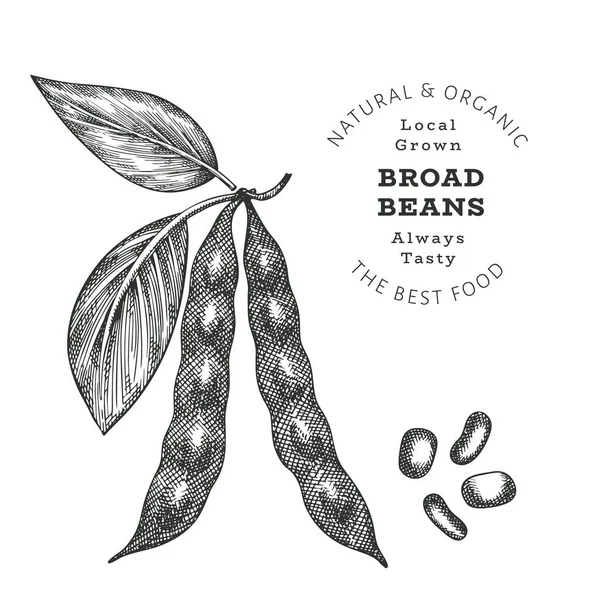 Fave Disegnate Mano Stile Schizzo Illustrazione Biologica Del Vettore Alimentare — Vettoriale Stock