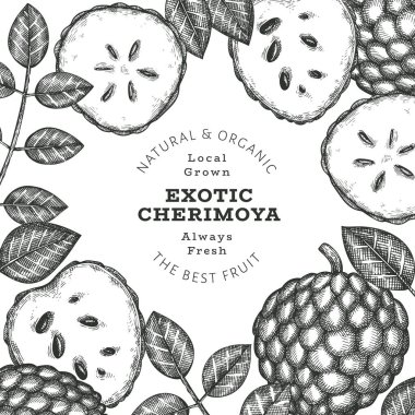 El yapımı çizim stili Cherimoya afişi. Organik taze meyve vektörü çizimi. İşlenmiş stil botanik tasarım şablonu.