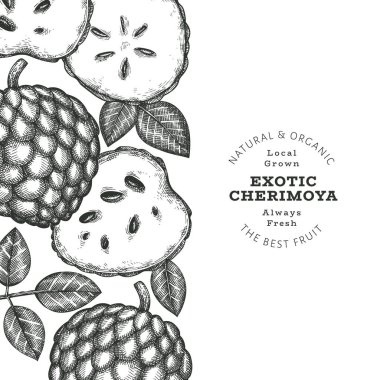 El yapımı çizim stili Cherimoya afişi. Organik taze meyve vektörü çizimi. İşlenmiş stil botanik tasarım şablonu.