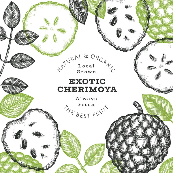 Hand Drawn Sketch Style Cherimoya Banner Organic Fresh Fruit Vector — Stock Vector