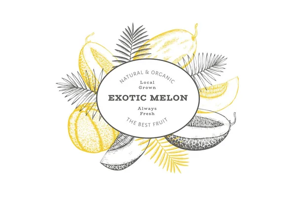 Melones Con Plantilla Diseño Hojas Tropicales Vector Dibujado Mano Ilustración — Archivo Imágenes Vectoriales
