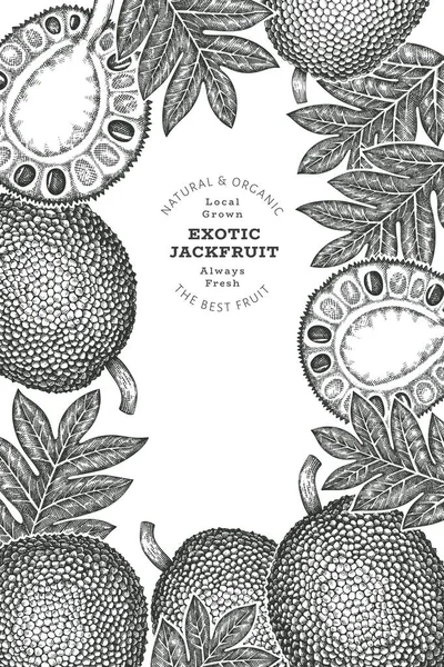 Handgetekende Schets Stijl Jackfruit Banner Biologische Vers Fruit Vector Illustratie — Stockvector