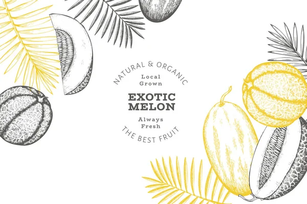 Melons Avec Motif Feuilles Tropicales Illustration Fruits Exotiques Dessinés Main — Image vectorielle