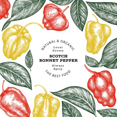 Elle çizilmiş taslak stili İskoç şapkası biber afişi. Organik taze sebze vektör çizimi. Retro cayenne biber tasarım şablonu