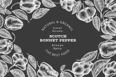 Elle çizilmiş taslak stili İskoç şapkası biber afişi. Tebeşir tahtasında organik taze sebze çizimi. Retro cayenne biber tasarım şablonu