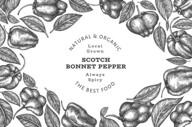 Elle çizilmiş taslak stili İskoç şapkası biber afişi. Organik taze sebze vektör çizimi. Retro cayenne biber tasarım şablonu