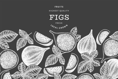 El çizimi incir meyvesi tasarım şablonu. Tebeşir tahtasında organik taze gıda vektör çizimi. Retro incir meyve pankartı.