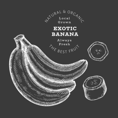 Elle çizilmiş çizim tarzı muz. Tebeşirle izole edilmiş organik taze gıda vektör çizimi. Retro egzotik meyve illüstrasyonu. İşlenmiş biçim botanik resim.