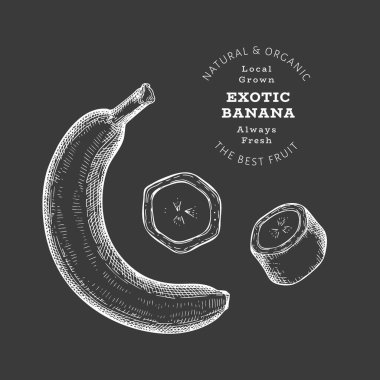 Elle çizilmiş çizim tarzı muz. Tebeşirle izole edilmiş organik taze gıda vektör çizimi. Retro egzotik meyve illüstrasyonu. İşlenmiş biçim botanik resim.