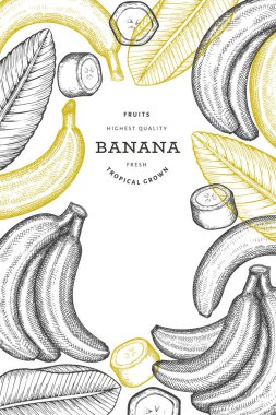 Elle çizilmiş muz pankartı. Organik taze meyve vektörü çizimi. Retro egzotik meyve tasarım şablonu