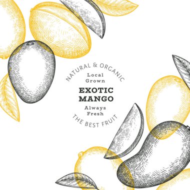 El çizimi mango afişi. Organik taze meyve vektörü çizimi. Retro mango meyve tasarım şablonu