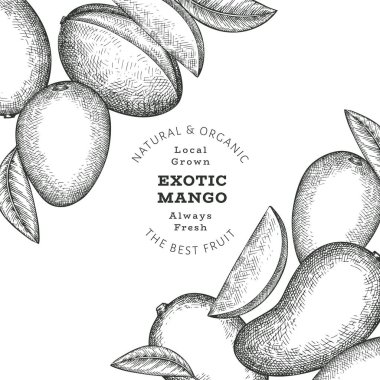 El çizimi mango afişi. Organik taze meyve vektörü çizimi. Retro mango meyve tasarım şablonu