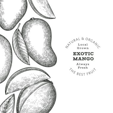 El çizimi mango afişi. Organik taze meyve vektörü çizimi. Retro mango meyve tasarım şablonu