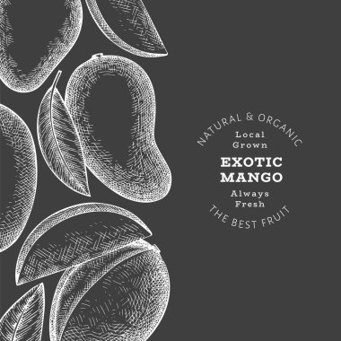 El çizimi mango afişi. Tebeşir tahtasında organik taze meyve vektör çizimi. Retro mango meyve tasarım şablonu