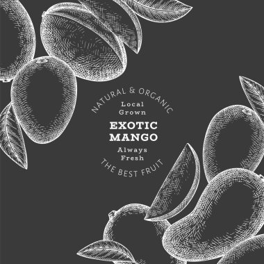 El çizimi mango afişi. Tebeşir tahtasında organik taze meyve vektör çizimi. Retro mango meyve tasarım şablonu