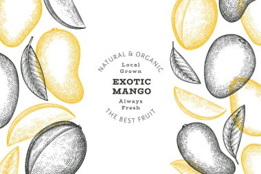 El çizimi mango afişi. Organik taze meyve vektörü çizimi. Retro mango meyve tasarım şablonu