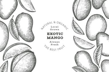El çizimi mango afişi. Organik taze meyve vektörü çizimi. Retro mango meyve tasarım şablonu