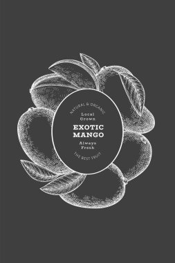 El çizimi mango afişi. Tebeşir tahtasında organik taze meyve vektör çizimi. Retro mango meyve tasarım şablonu