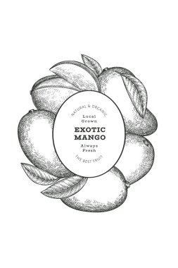 El çizimi mango afişi. Organik taze meyve vektörü çizimi. Retro mango meyve tasarım şablonu