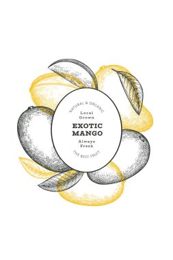 El çizimi mango afişi. Organik taze meyve vektörü çizimi. Retro mango meyve tasarım şablonu