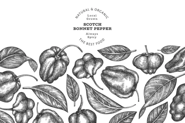 Elle çizilmiş taslak stili İskoç şapkası biber afişi. Organik taze sebze vektör çizimi. Retro cayenne biber tasarım şablonu