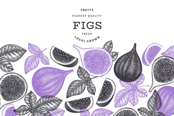 El çizimi incir meyvesi tasarım şablonu. Organik taze gıda vektör çizimi. Retro incir meyve pankartı.