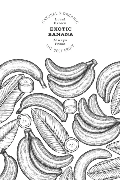 Handgetekende Bananenbanaan Biologische Vers Fruit Vector Illustratie Retro Exotisch Fruit — Stockvector
