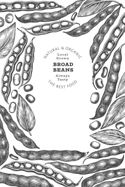 Рука Намальована Широкими Бобами Шаблон Дизайну Органічна Свіжа Їжа Векторні — стоковий вектор