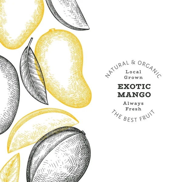 Handgezeichnete Skizze Stil Mango Banner Illustration Des Organischen Vektors Frischer — Stockvektor