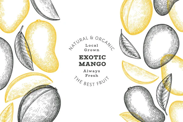 El çizimi mango afişi. Organik taze meyve vektörü çizimi. Retro mango meyve tasarım şablonu