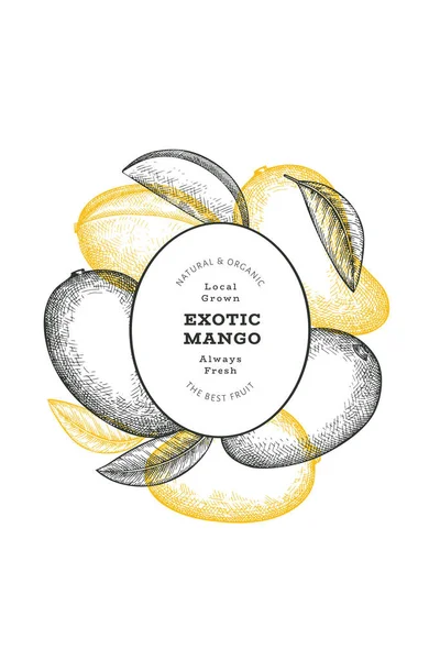 El çizimi mango afişi. Organik taze meyve vektörü çizimi. Retro mango meyve tasarım şablonu