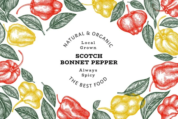 Elle çizilmiş taslak stili İskoç şapkası biber afişi. Organik taze sebze vektör çizimi. Retro cayenne biber tasarım şablonu