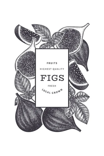 Hand drawn fig fruits design template. Organic fresh food vector illustration. Retro fig fruit banner. — Stock Illustration Hand Drawn Fig Fruits Design Template Organic Fresh Food Vector Stock Vector