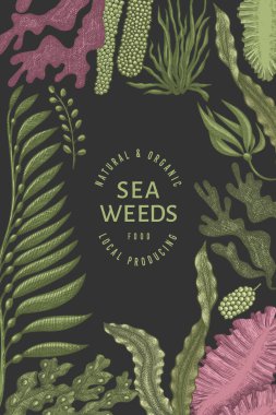 Deniz yosunu tasarım şablonu. El çizimi vektör yosunları çizim yapar. İşlenmiş stil deniz ürünleri afişi. Retro deniz bitkileri arka planı