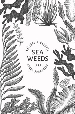 Deniz yosunu tasarım şablonu. El çizimi vektör yosunları çizim yapar. İşlenmiş stil deniz ürünleri afişi. Retro deniz bitkileri arka planı
