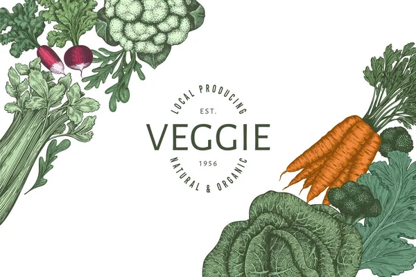 手描きのヴィンテージカラー野菜デザイン オーガニックフレッシュフードベクトルバナーテンプレート レトロな野菜の背景 伝統的な植物画 — ストックベクタ