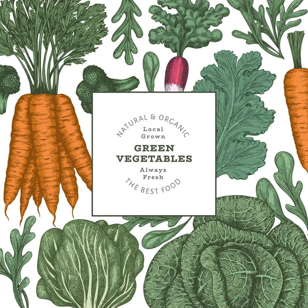 Diseño Verduras Color Vintage Dibujado Mano Plantilla Banner Alimentos Frescos — Vector de stock