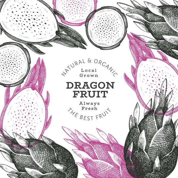 Hand Drawn Dragon Fruit Design Template Organic Fresh Food Vector — Stock Vector