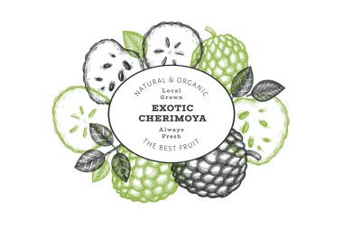 El yapımı çizim stili Cherimoya afişi. Organik taze meyve vektörü çizimi. İşlenmiş stil botanik tasarım şablonu.