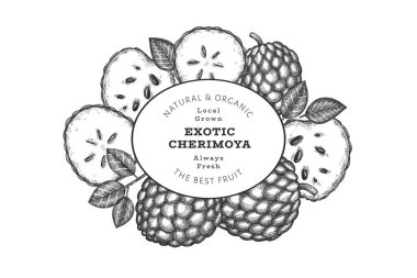 El yapımı çizim stili Cherimoya afişi. Organik taze meyve vektörü çizimi. İşlenmiş stil botanik tasarım şablonu.