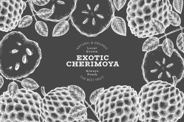 El yapımı çizim stili Cherimoya afişi. Tebeşir tahtasında organik taze meyve vektör çizimi. Botanik tasarım şablonu.