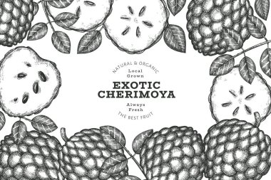 El yapımı çizim stili Cherimoya afişi. Organik taze meyve vektörü çizimi. İşlenmiş stil botanik tasarım şablonu.