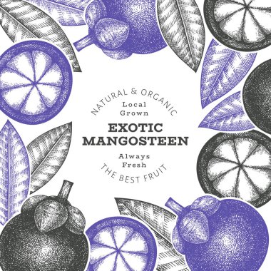 El çizimi mangosteen tasarım şablonu. Beyaz arka planda organik taze gıda vektör çizimi. Retro meyve pankartı.