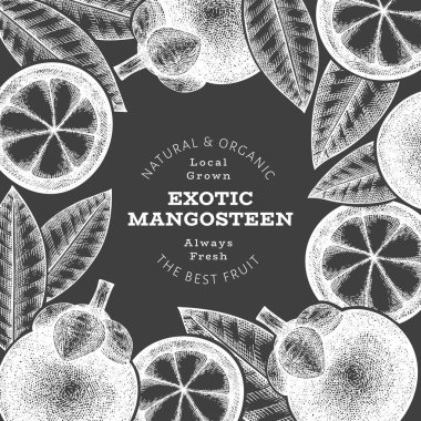 El çizimi mangosteen tasarım şablonu. Tebeşir tahtasında organik taze gıda vektör çizimi. Retro meyve pankartı.