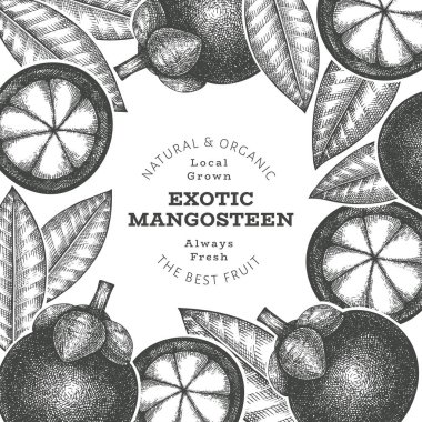 El çizimi mangosteen tasarım şablonu. Beyaz arka planda organik taze gıda vektör çizimi. Retro meyve pankartı.