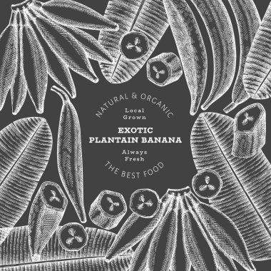 Elle çizilmiş taslak tarzı muz afişi. Tebeşir tahtasında organik taze meyve vektör çizimi. Retro egzotik muz meyve tasarım şablonu