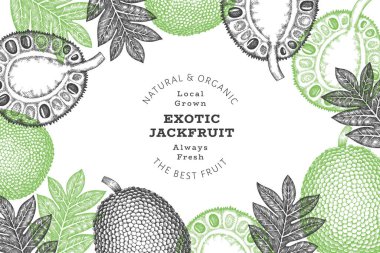 Elle çizilmiş çizim tarzı meyveli pankart. Organik taze meyve vektörü çizimi. Retro ekmek meyvesi tasarım şablonu