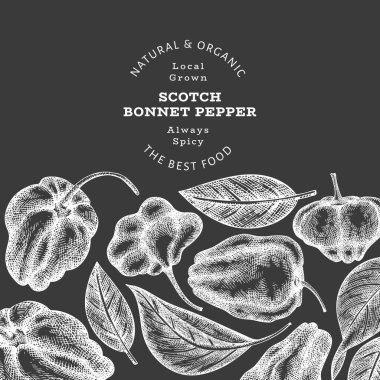 Elle çizilmiş taslak stili İskoç şapkası biber afişi. Tebeşir tahtasında organik taze sebze çizimi. Retro cayenne biber tasarım şablonu