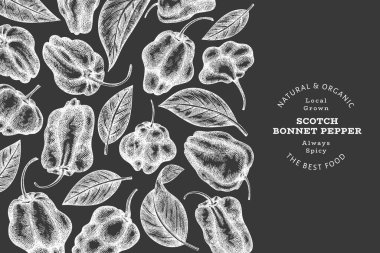 Elle çizilmiş taslak stili İskoç şapkası biber afişi. Tebeşir tahtasında organik taze sebze çizimi. Retro cayenne biber tasarım şablonu