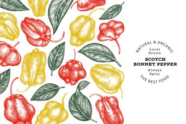 Elle çizilmiş taslak stili İskoç şapkası biber afişi. Organik taze sebze vektör çizimi. Retro cayenne biber tasarım şablonu